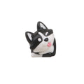  Corgi Black Head